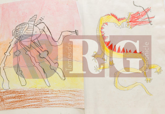 ALDWYN PRIMARY ARTS 2025 (5).JPG