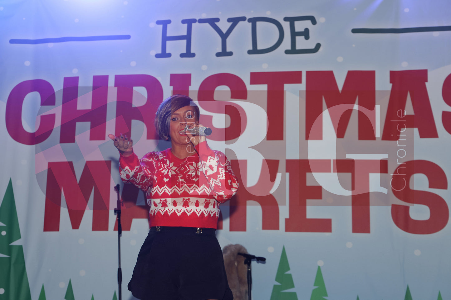 CHRISTMAS IN HYDE 2024 (95).JPG