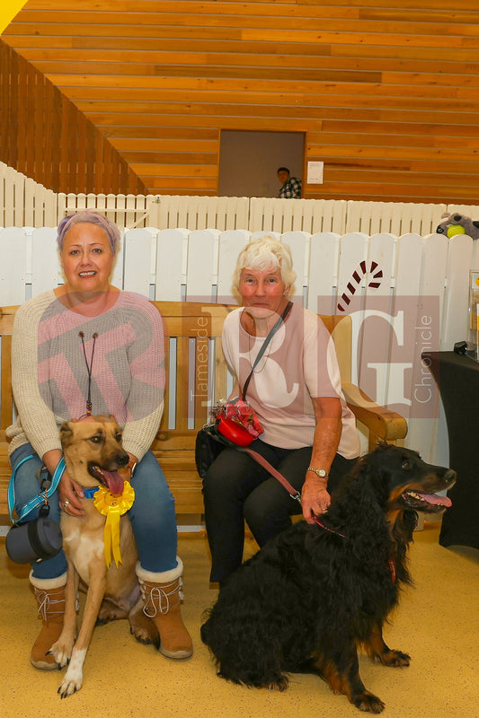 DOG TRUST DENTON XMAS (61).JPG