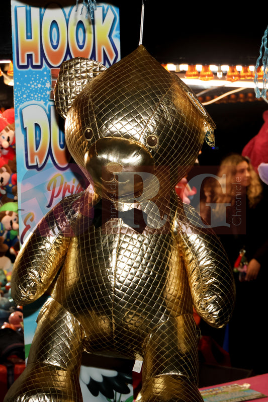 GLOSSOP LIGHTS SWITCH ON 2024 (17).JPG