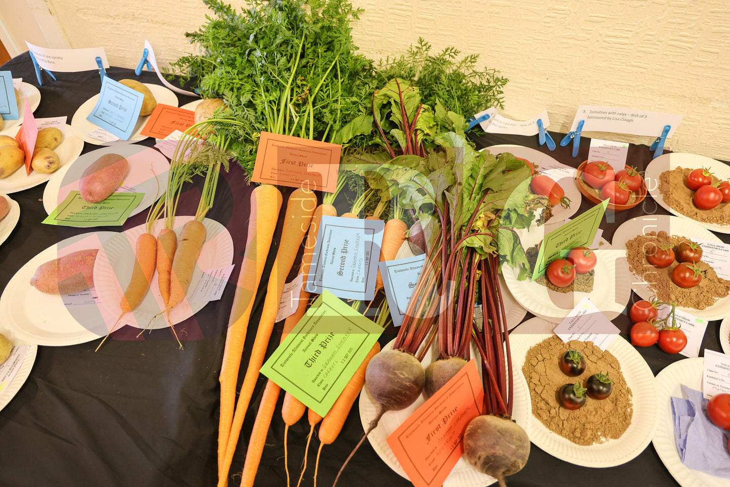 TINTWISTLE GARDENERS SHOW (24).JPG