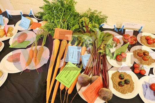 TINTWISTLE GARDENERS SHOW (24).JPG
