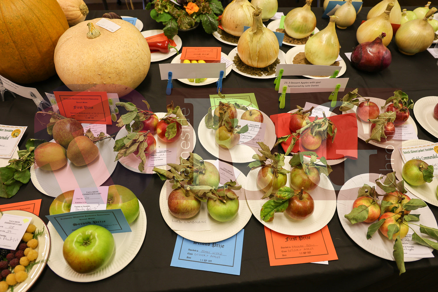 TINTWISTLE GARDENERS SHOW (13).JPG