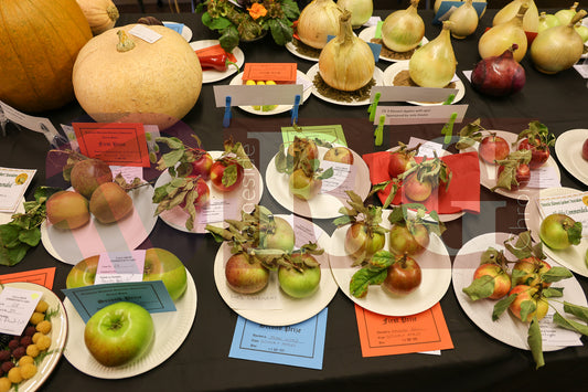 TINTWISTLE GARDENERS SHOW (13).JPG