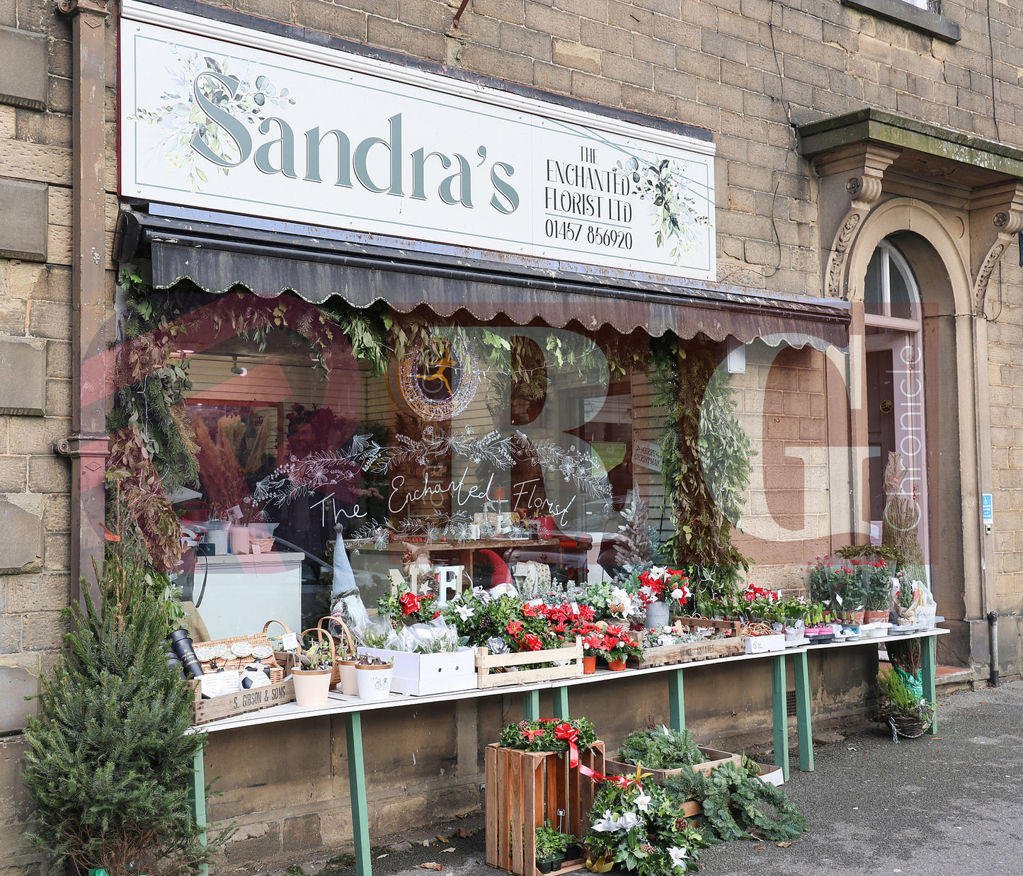 GLOSSOP SHOP XMAS WINDOWS 2024 (38).JPG