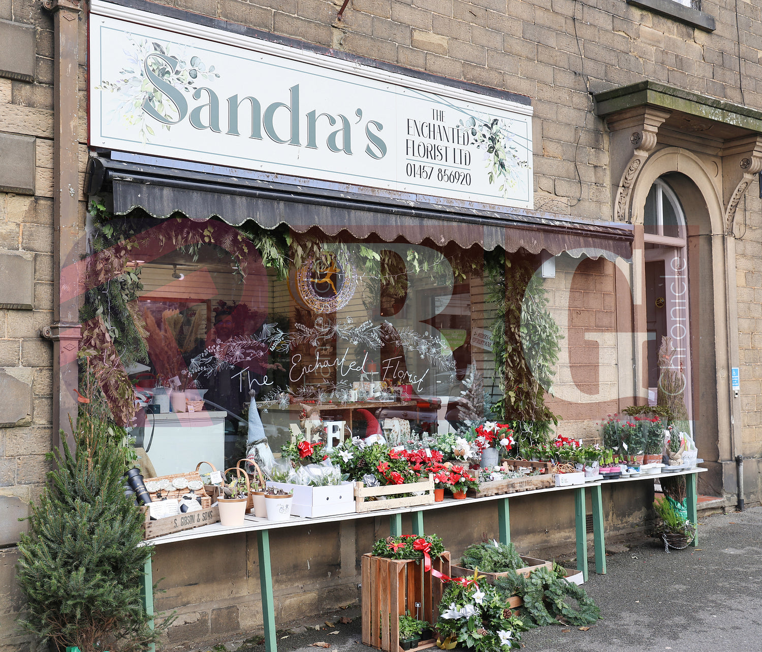 GLOSSOP SHOP XMAS WINDOWS 2024 (38).JPG