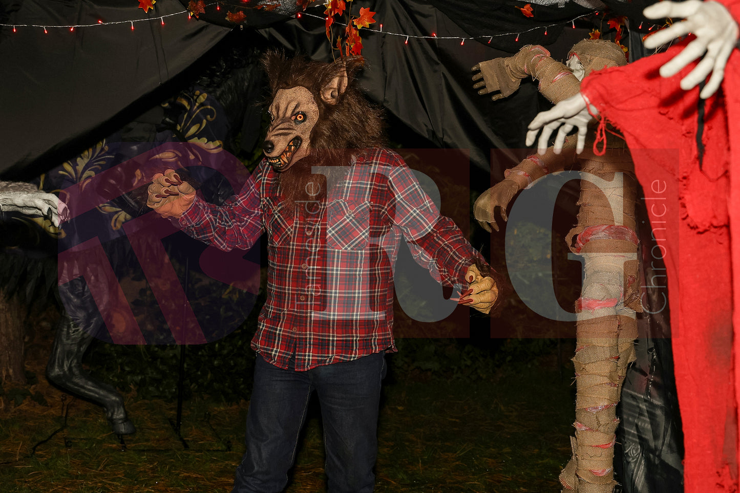 PIRATES OF THE HALLOWE'EN' HADFIELD (54).JPG