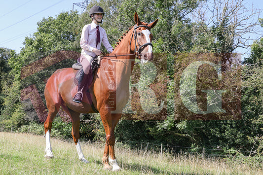 MOTTRAM SHOW  2025 (70).JPG