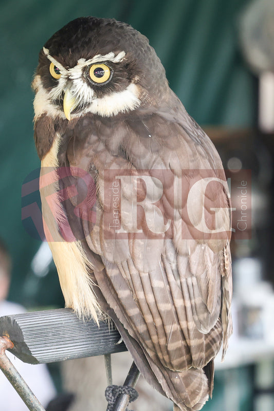 HYDE MELA 2025 (2).JPG