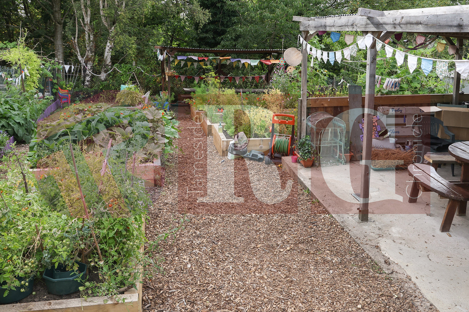 BLOOM FUN DAY HYDE (64).JPG