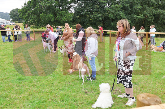 MOTTRAM SHOW 2024 (46).JPG