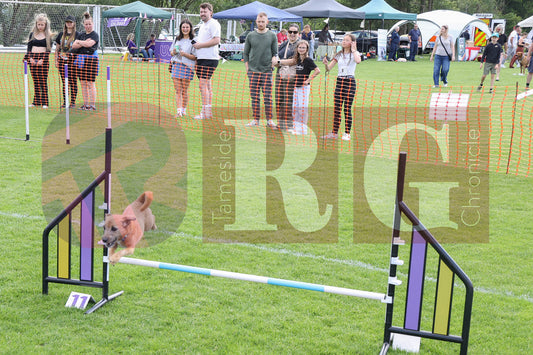 TINTWISTLE CHIDREN'S GALA  (78).JPG