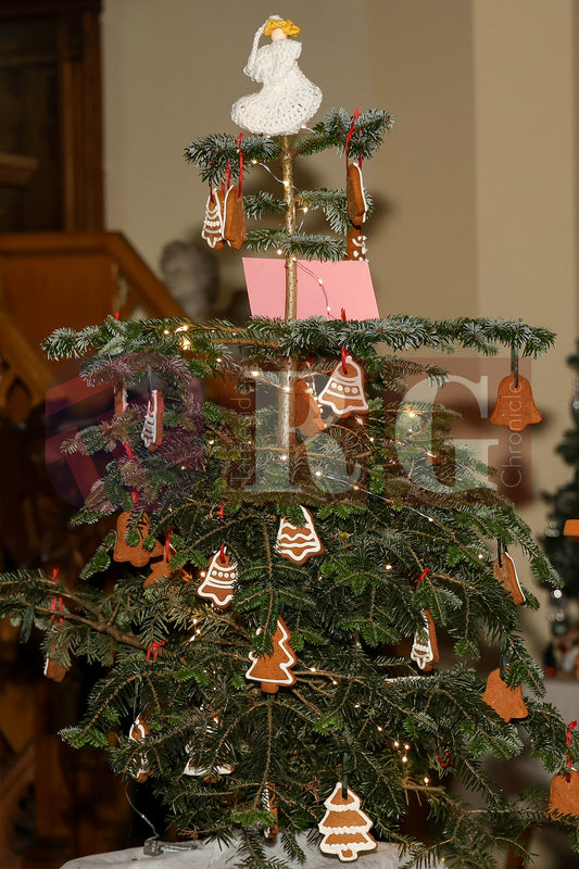 CHRIST CHURCH TINTWISTLE (31).JPG