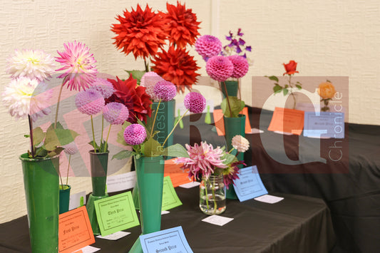 TINTWISTLE GARDENERS SHOW (28).JPG