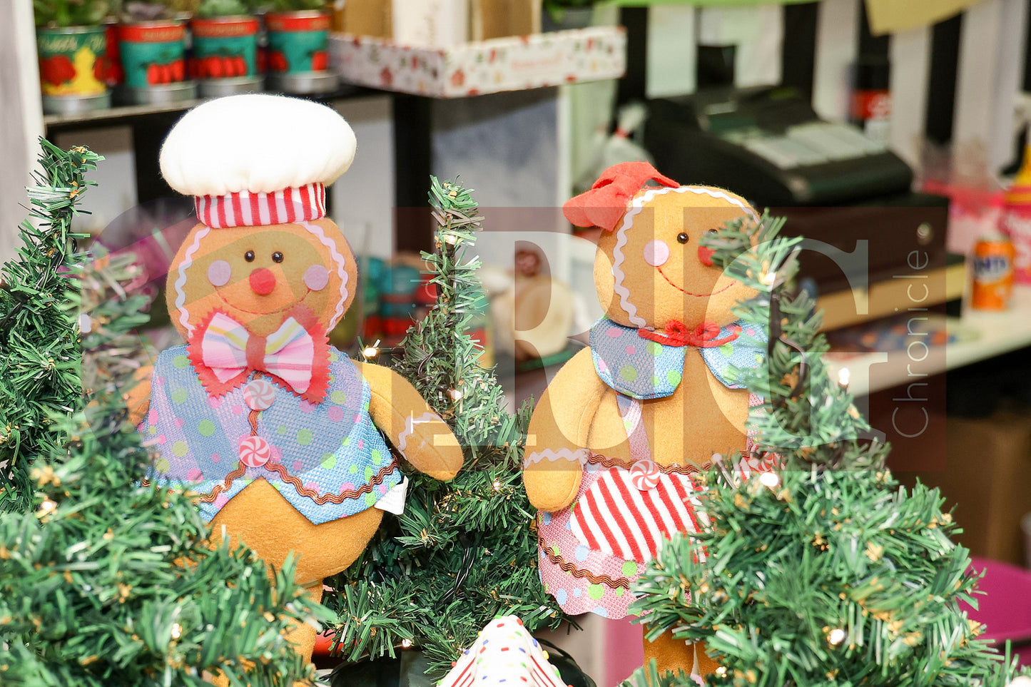 HYDE CHRISTMAS 2025 (55).JPG