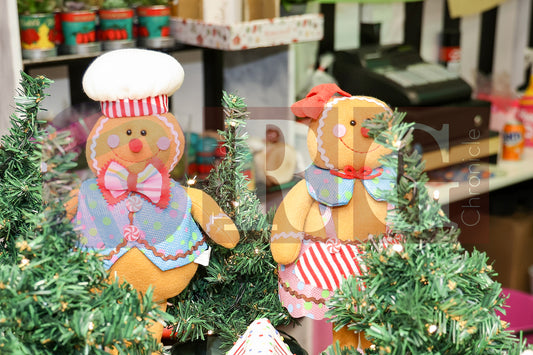 HYDE CHRISTMAS 2025 (55).JPG