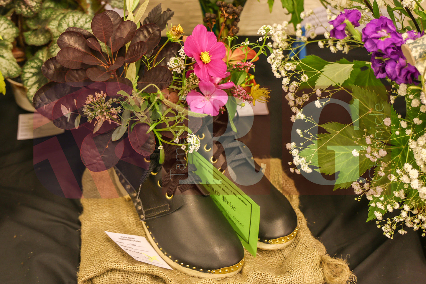 TINTWISTLE GARDENERS SHOW (17).JPG