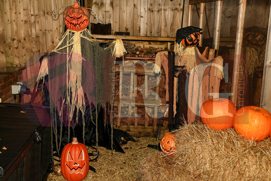 PIRATES OF THE HALLOWE'EN' HADFIELD (27).JPG