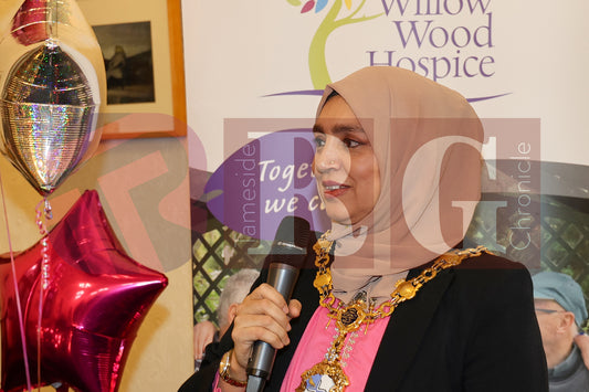 CIVIC MAYOR'S AFTERNOON TEA  (68).JPG