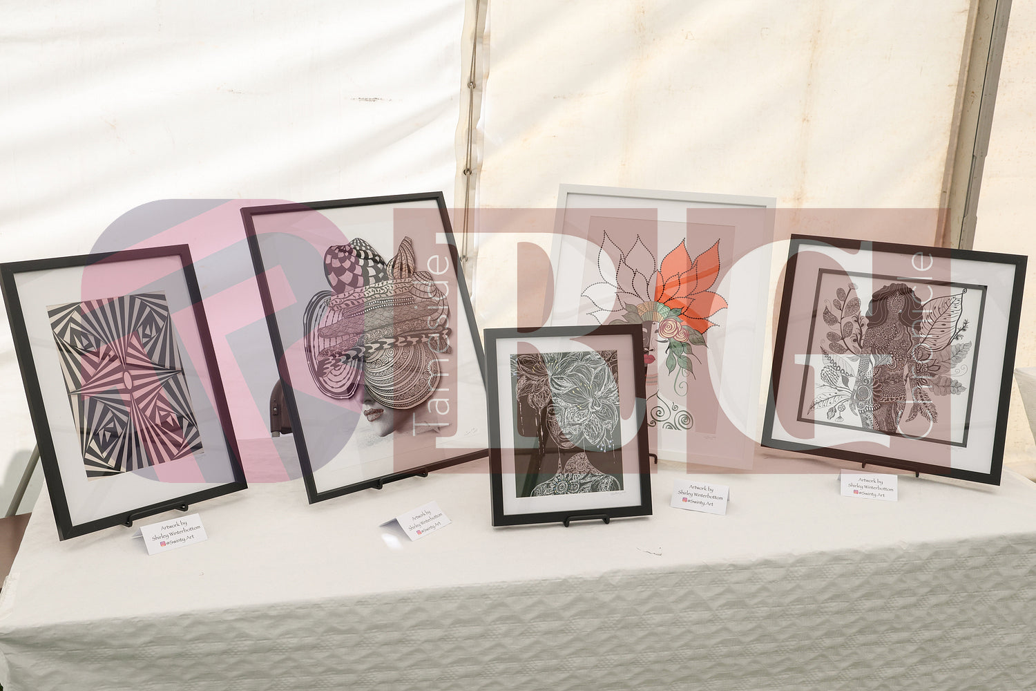 MOTTRAM SHOW  2025 (17).JPG