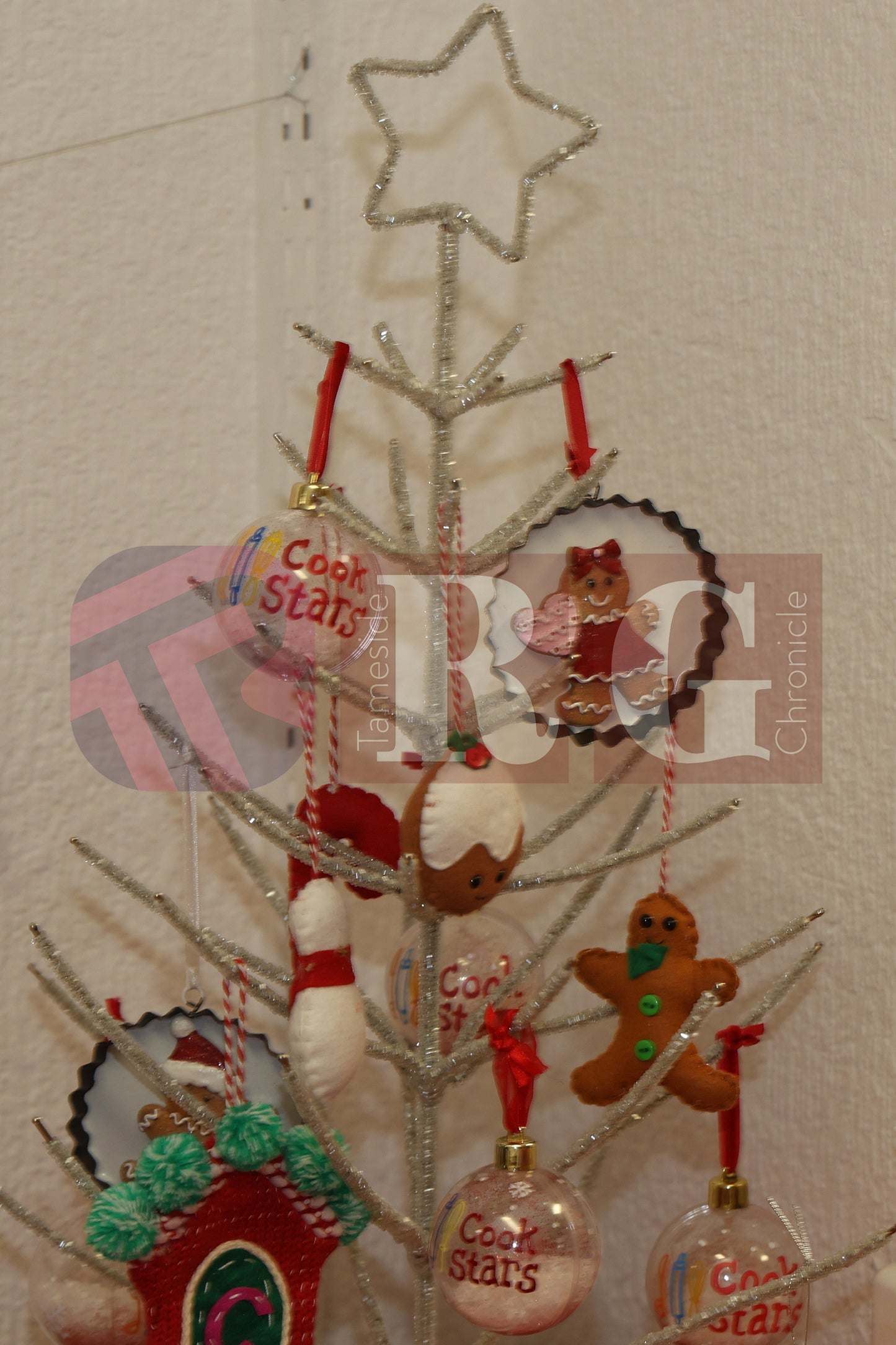 RYECROFT HALL XMAS FAIR (46).JPG