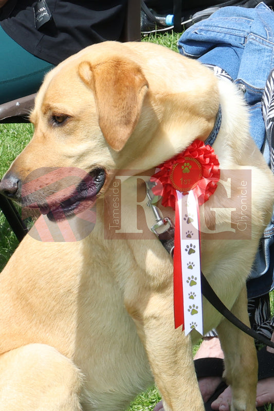 GEE CROSS FETE 2025 (57).JPG