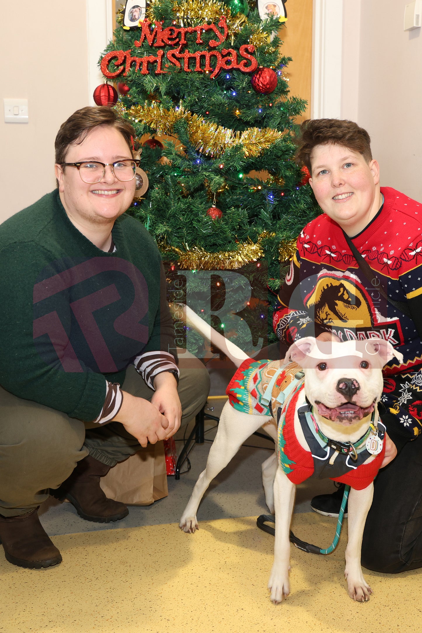 DOG TRUST DENTON XMAS (12).JPG