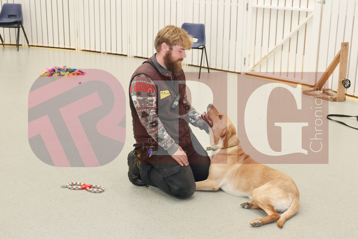 DOG TRUST DENTON JUMPER EVENT (15).JPG