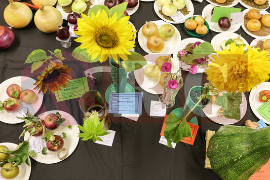 TINTWISTLE GARDENERS SHOW (33).JPG