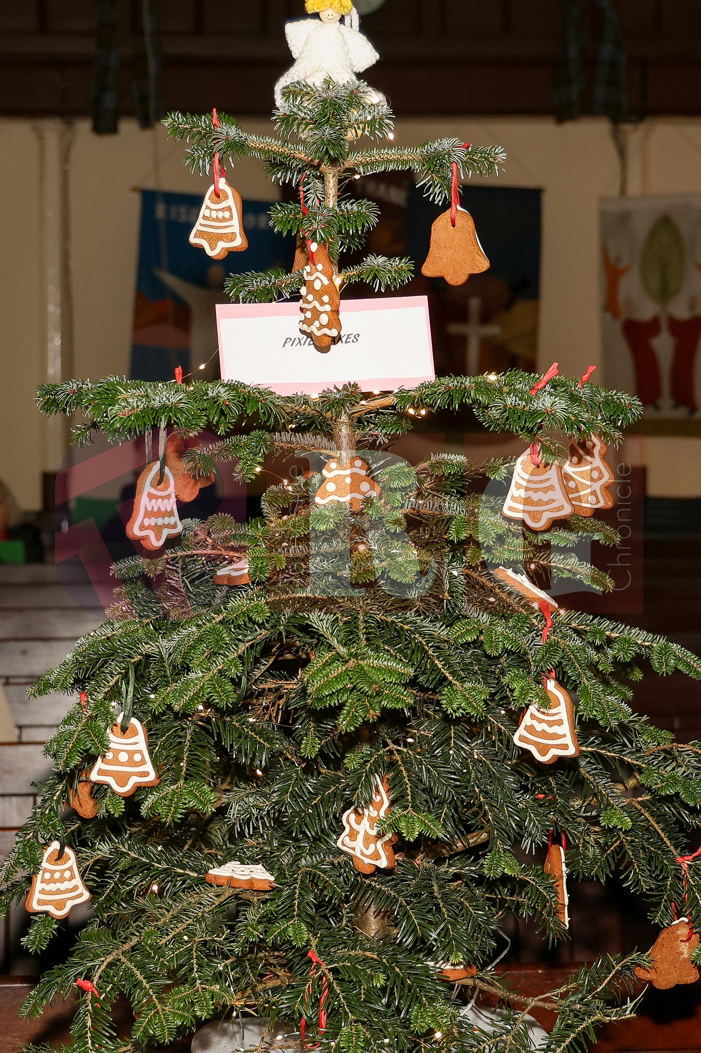 CHRIST CHURCH TINTWISTLE (15).JPG