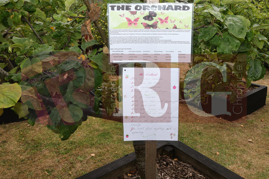 WATERLOO PARK BRITAIN IN BLOOM 2025 (46).JPG