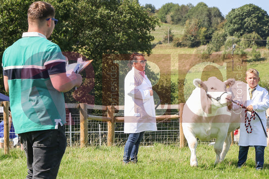 MOTTRAM SHOW  2025 (61).JPG