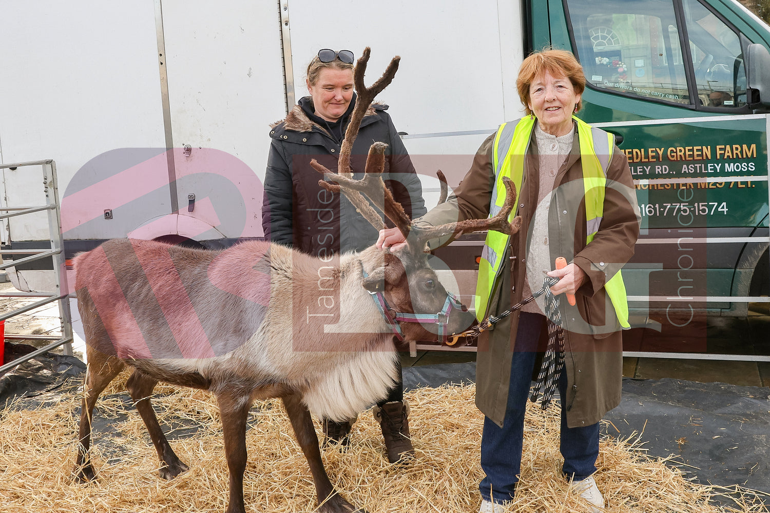 HYDE CHRISTMAS 2025 (37).JPG