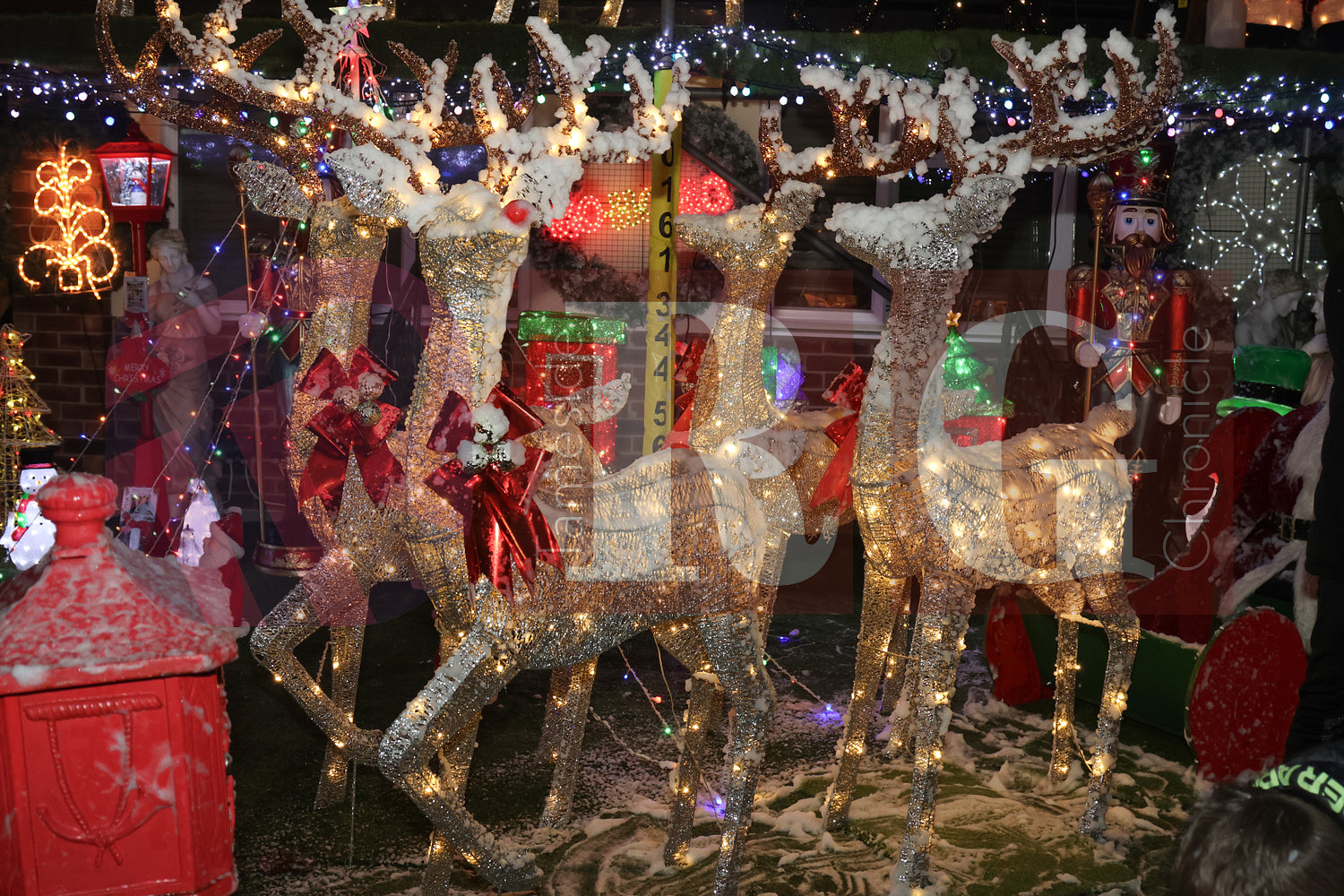 LIGHT SWITH ON DEWSNAP LANE 2024 (51).JPG