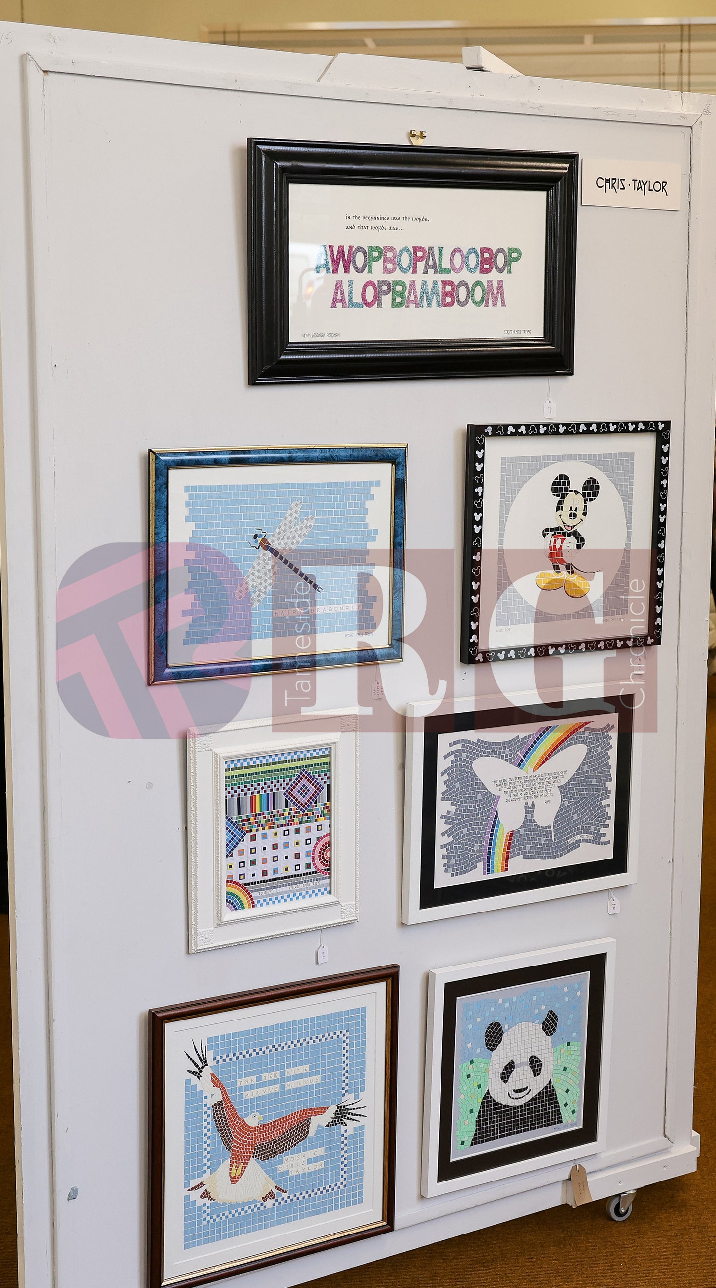 VICTORIA HALL EXHIBITION 2025 (22).JPG