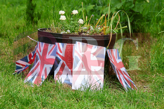 VE DAY THE COMMUNITY GARDEN DUKINFIELD (37).JPG