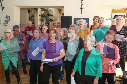 BRIDGE GOT TALENT AUDITIONS 2025 (14).JPG