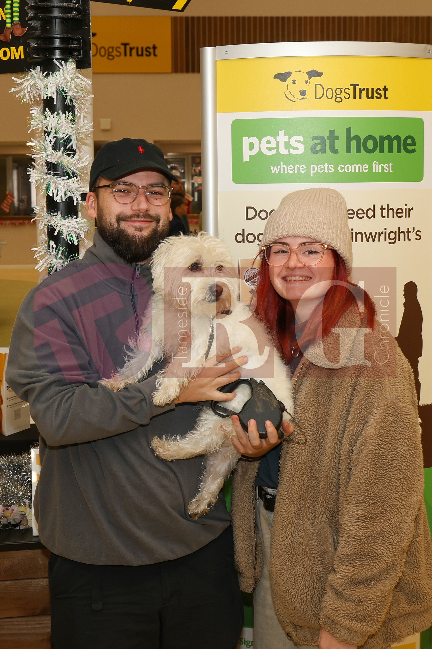 DOG TRUST DENTON XMAS (36).JPG