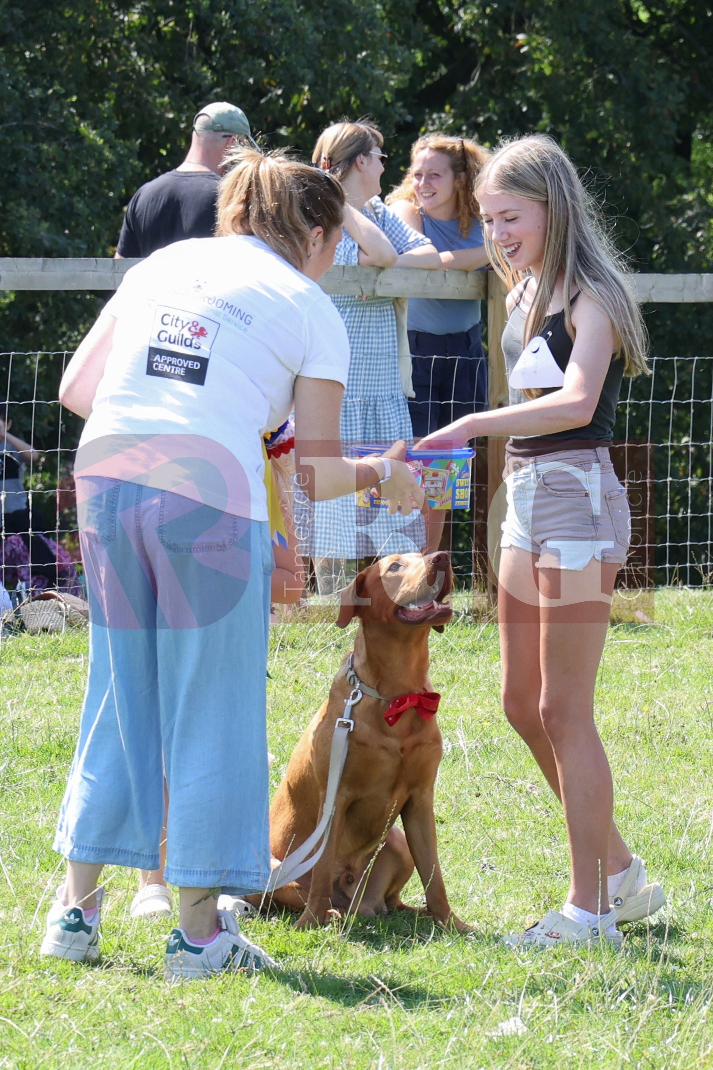 MOTTRAM SHOW  2025 (106).JPG