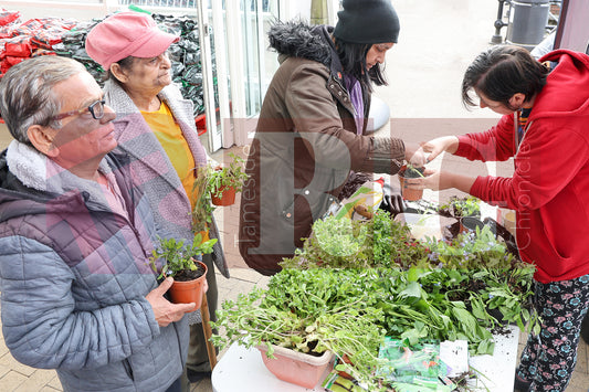 PLANT & SWAP EVENT TESCO STALYBRIDGE 2025 (5).JPG