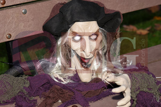 HALLOWEEN WATERLOO PARK (18).JPG