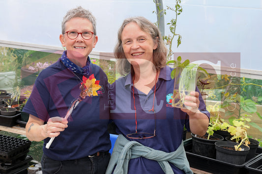 BLOOM FUN DAY HYDE (19).JPG