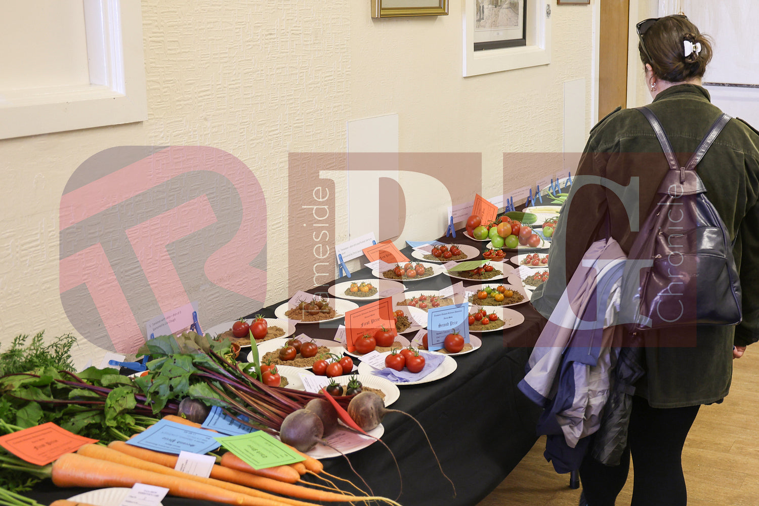 TINTWISTLE GARDENERS SHOW (11).JPG