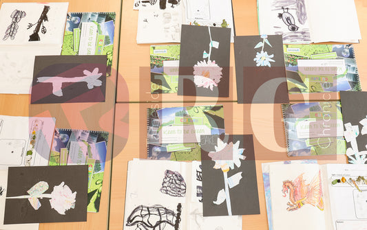 ALDWYN PRIMARY ARTS 2025 (8).JPG