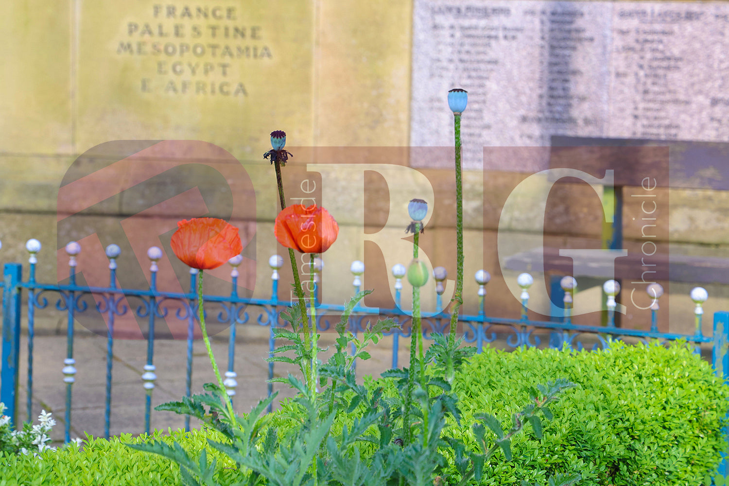 D-DAY 80 COMMEMORATION SERVICE STALYBRIDGE 2024 (2).JPG