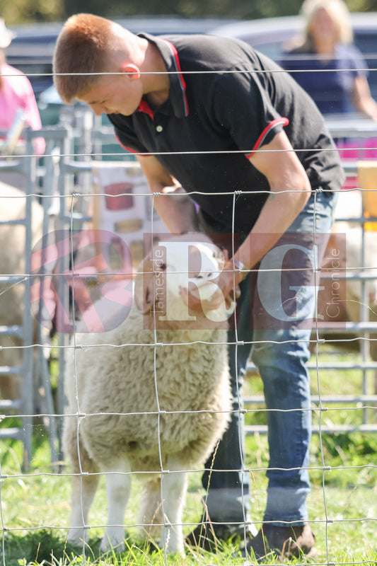 MOTTRAM SHOW  2025 (179).JPG