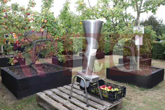 WATERLOO PARK BRITAIN IN BLOOM 2025 (56).JPG