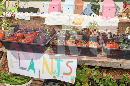 BLOOM FUN DAY HYDE (23).JPG