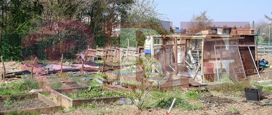 RIDGE HILL COMMUNITY GARDEN (41).JPG