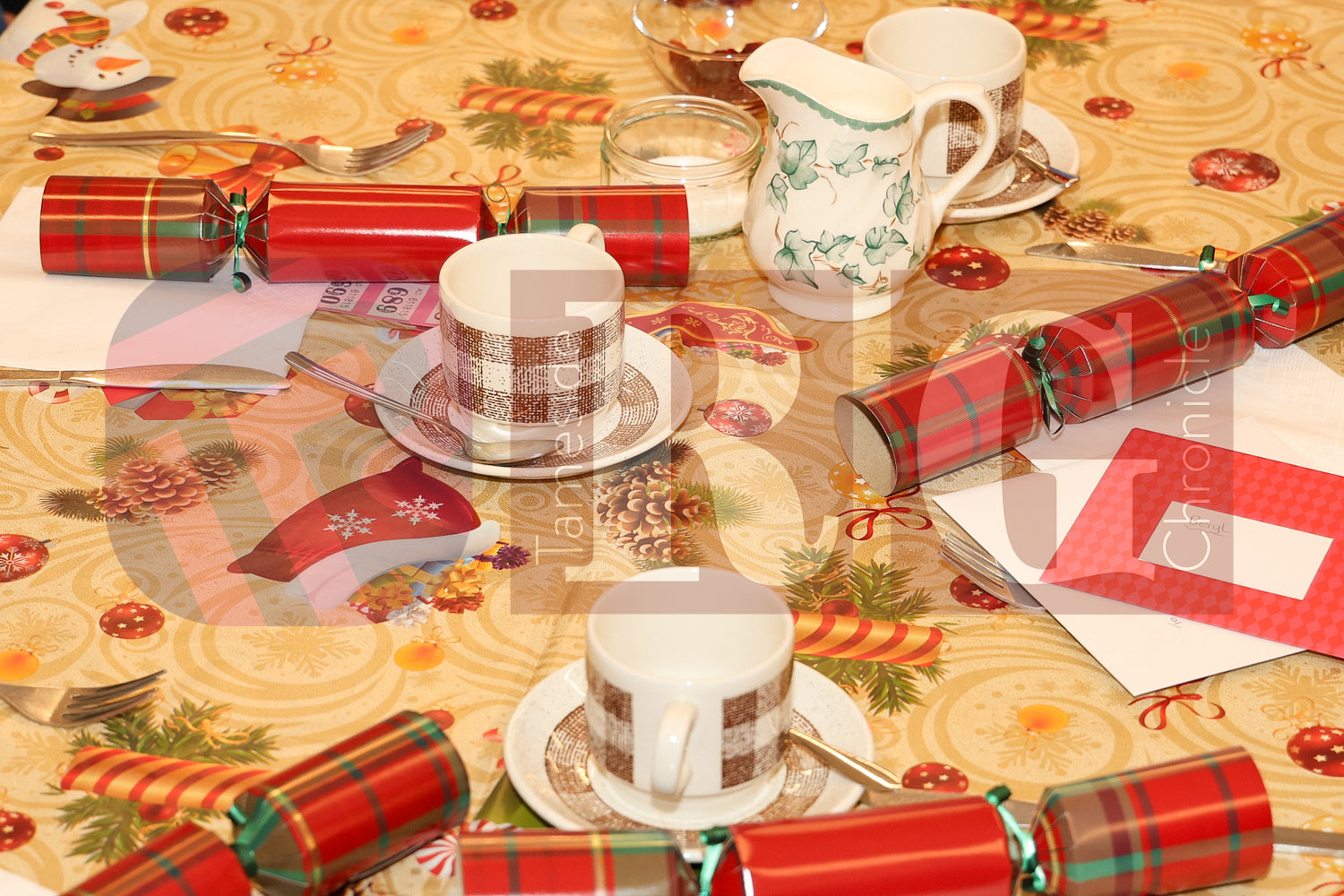 GRAFTON CHRISTMAS LUNCHES HYDE (38).JPG